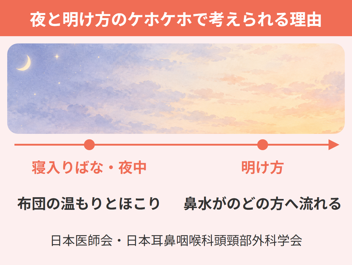 赤ちゃんの乾いた咳が夜と明け方に出るときに考えられる理由を、寝入りばなから寝起きまでの時間の流れで示した図
